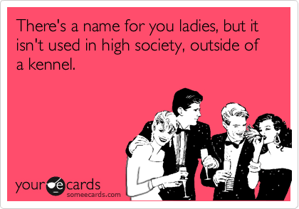 There's a name for you ladies, but it isn't used in high society, outside of a kennel.