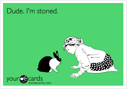Dude. I'm stoned.