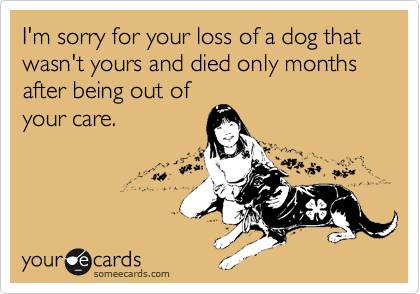 I'm sorry for your loss of a dog that wasn't yours and died only months after being out of
your care.