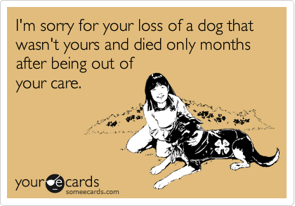 I M Sorry For Your Loss Of A Dog That Wasn T Yours And Died Only Months After Being Out Of Your Care Sympathy Ecard