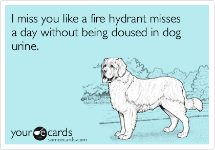 I miss you like a fire hydrant misses a day without being doused in dog urine.