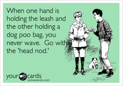 When one hand is
holding the leash and
the other holding a
dog poo bag, you
never wave.  Go with
the 'head nod.'
