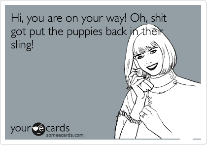 Hi, you are on your way! Oh, shit got put the puppies back in their sling!