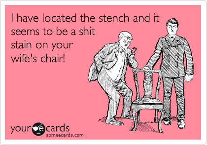 I have located the stench and it
seems to be a shit
stain on your
wife's chair!