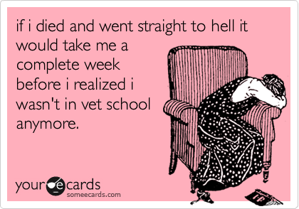 if i died and went straight to hell it would take me a
complete week
before i realized i
wasn't in vet school
anymore. 