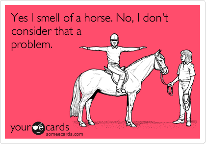 Yes I smell of a horse. No, I don't consider that a
problem.