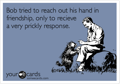 Bob tried to reach out his hand in friendship, only to recieve
a very prickly response.