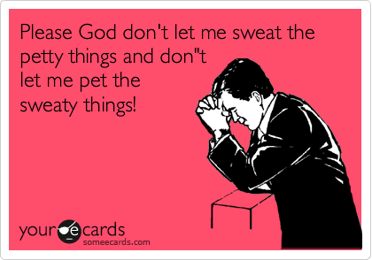 Please God don't let me sweat the petty things and don"t
let me pet the
sweaty things!