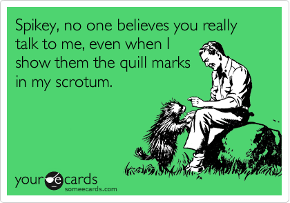 Spikey, no one believes you really
talk to me, even when I
show them the quill marks
in my scrotum.