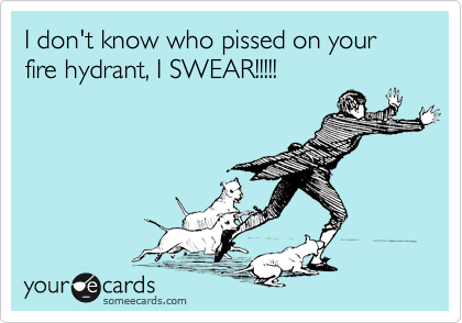 I don't know who pissed on your fire hydrant, I SWEAR!!!!!