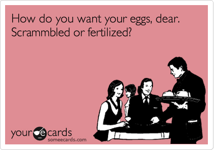How do you want your eggs, dear. Scrammbled or fertilized?