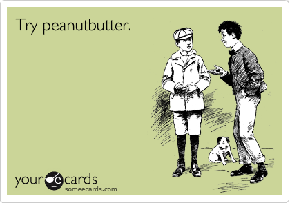 Try peanutbutter. 