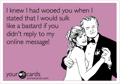 I knew I had wooed you when I stated that I would sulk
like a bastard if you
didn't reply to my
online message!
