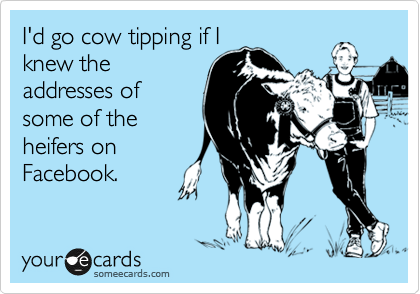 I'd go cow tipping if I
knew the
addresses of
some of the
heifers on
Facebook.