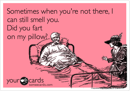 Sometimes when you're not there, I can still smell you.
Did you fart
on my pillow?
