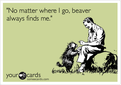 "No matter where I go, beaver always finds me."