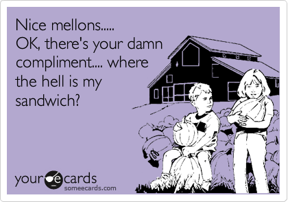 Nice mellons..... 
OK, there's your damn
compliment.... where
the hell is my
sandwich? 