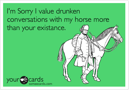 I'm Sorry I value drunken conversations with my horse more than your existance.