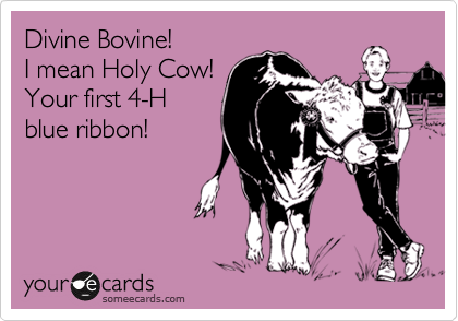 Divine Bovine!
I mean Holy Cow!
Your first 4-H
blue ribbon!