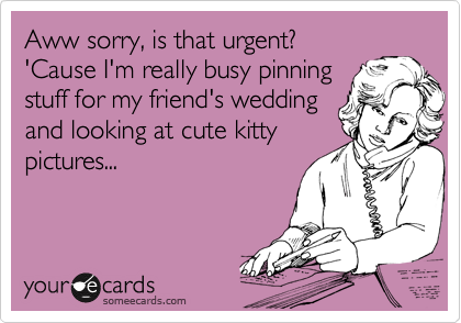 Aww sorry, is that urgent?
'Cause I'm really busy pinning
stuff for my friend's wedding
and looking at cute kitty
pictures...