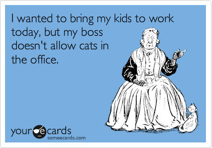 I wanted to bring my kids to work today, but my boss
doesn't allow cats in
the office.