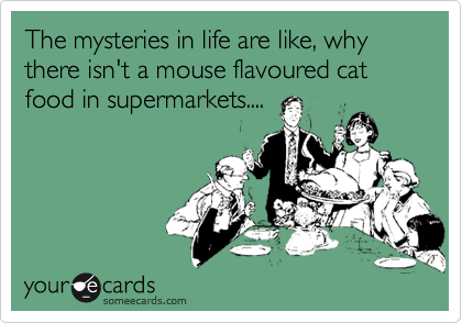 The mysteries in life are like, why there isn't a mouse flavoured cat food in supermarkets....