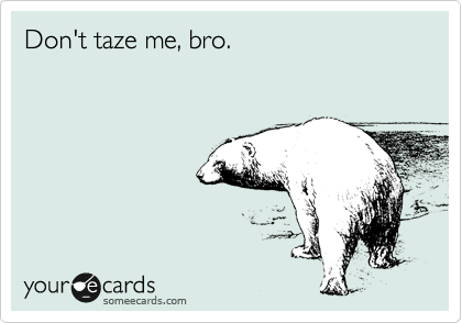 Don't taze me, bro.