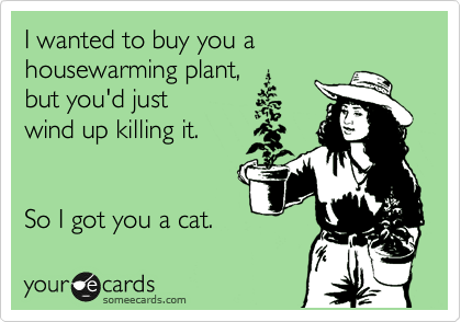 I wanted to buy you a housewarming plant,
but you'd just
wind up killing it.


So I got you a cat. 