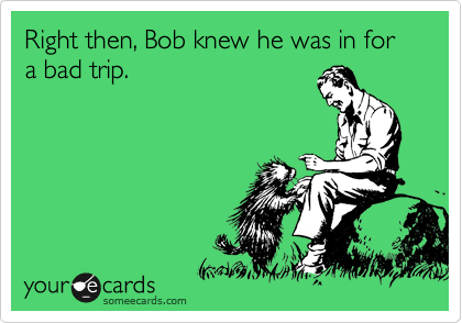 Right then, Bob knew he was in for a bad trip.