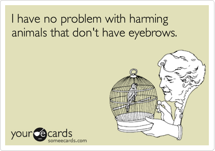 I have no problem with harming animals that don't have eyebrows. 