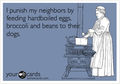 I punish my neighbors by
feeding hardboiled eggs,
broccoli and beans to their
dogs.  