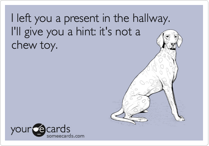I left you a present in the hallway.  I'll give you a hint: it's not a
chew toy.