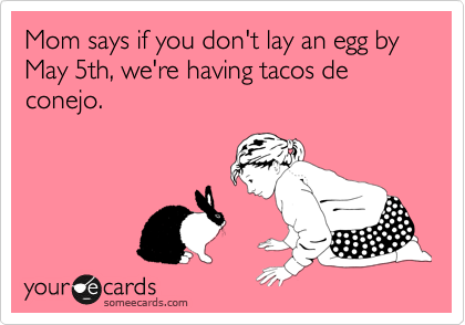 Mom says if you don't lay an egg by May 5th, we're having tacos de conejo.