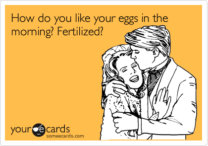 How do you like your eggs in the morning? Fertilized?