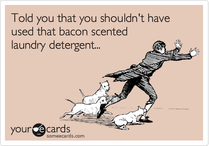 Told you that you shouldn't have used that bacon scented 
laundry detergent...