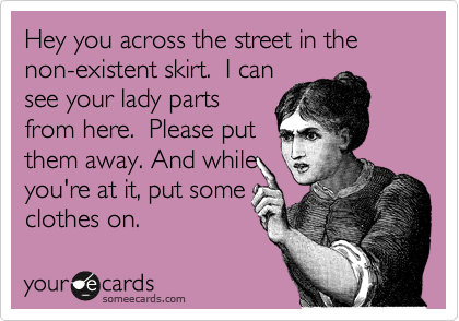 Hey you across the street in the non-existent skirt.  I can
see your lady parts
from here.  Please put
them away. And while
you're at it, put some
clothes on.