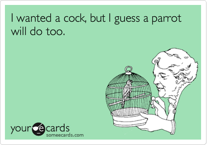 I wanted a cock, but I guess a parrot will do too.