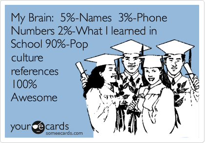 My Brain:  5%-Names  3%-Phone Numbers 2%-What I learned in School 90%-Pop
culture
references
100%
Awesome