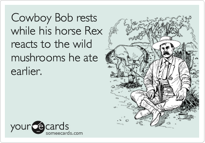 Cowboy Bob rests 
while his horse Rex
reacts to the wild
mushrooms he ate
earlier.