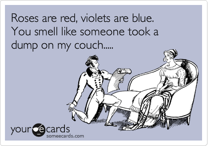 Roses are red, violets are blue.
You smell like someone took a dump on my couch.....