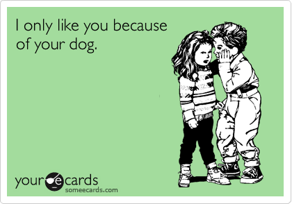 I only like you because
of your dog.