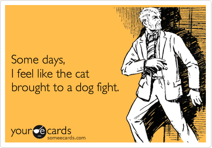


Some days,  
I feel like the cat
brought to a dog fight.