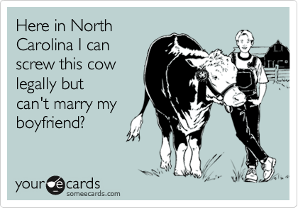 Here in North
Carolina I can
screw this cow
legally but
can't marry my
boyfriend? 