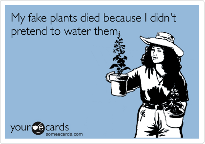 My fake plants died because I didn't pretend to water them