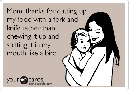Mom, thanks for cutting up
my food with a fork and
knife rather than
chewing it up and
spitting it in my
mouth like a bird 