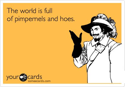 The world is full
of pimpernels and hoes.