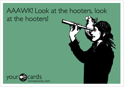 AAAWK! Look at the hooters, look at the hooters!