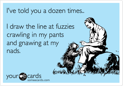 I've told you a dozen times..  

I draw the line at fuzzies
crawling in my pants
and gnawing at my
nads.