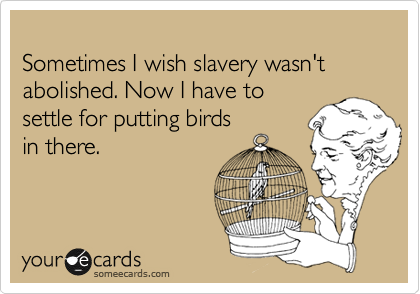 
Sometimes I wish slavery wasn't abolished. Now I have to
settle for putting birds
in there.