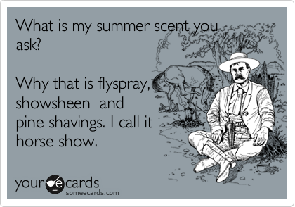 What is my summer scent you
ask?  

Why that is flyspray,
showsheen  and
pine shavings. I call it
horse show.